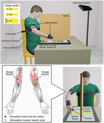 Proprioceptive Augmentation With Illusory Kinaesthetic Sensation in Stroke Patients Improves Movement Quality in an Active Upper Limb Reach-and-Point Task